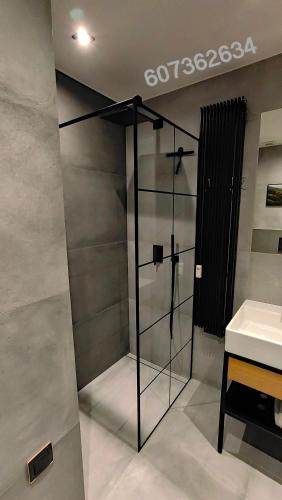 a glass shower in a bathroom with a sink at Dębina z Widokiem in Poznań