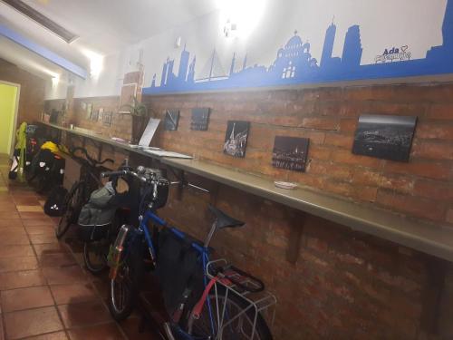 Berbasikal di atau sekitar Hostel Iris