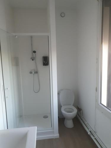 a white bathroom with a shower and a toilet at Aux Bons Amis in Reims