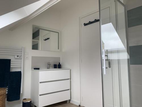 a bathroom with a white cabinet and a mirror at L'appartement de Purdey in Saumur