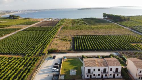 een luchtzicht op een wijngaard en de oceaan bij Aquilone Garden in Birgi Vecchi