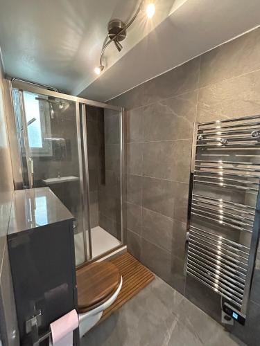 a bathroom with a shower and a toilet in it at Big Luxury Studio in the heart of St-Germain in Paris
