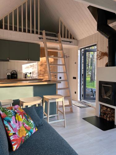 a living room with a couch and a kitchen at Baltrozes in Ādaži
