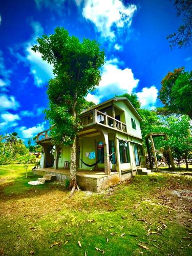 una piccola casa con un albero di fronte di Coral View Hostel a Corn Island