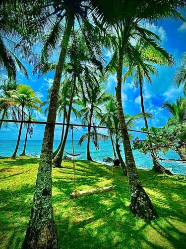a group of palm trees with a swing on a beach at Coral View Hostel in Corn Islands