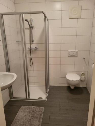 ein Bad mit einer Dusche und einem WC in der Unterkunft La Gondola in Niederneukirchen