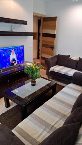 a living room with a couch and a tv at Kamena Kuca Lux Apartment in Kopaonik