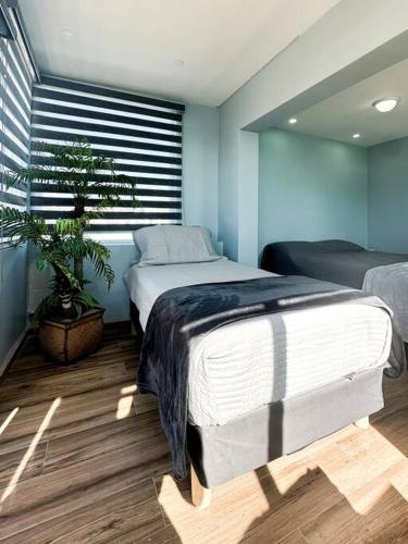 a bedroom with two beds and a potted plant at Departamento Beto in Tijuana