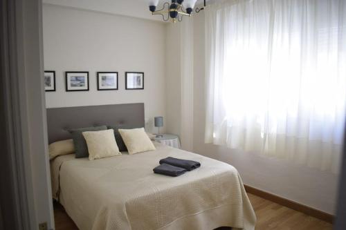 APARTAMENTO SOL Y PLAYA (PASEO MARITIMO)