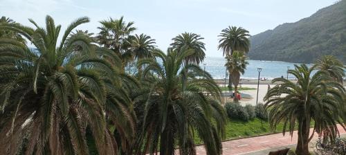 a view of a beach with palm trees and the ocean at A un passo dal mare CIN ITO1OO59C29ZGY7FLN in Riva Trigoso