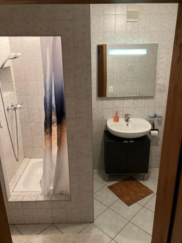 a bathroom with a sink and a shower at Au numéro 12 in Courchavon
