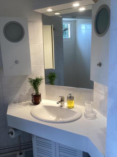 La salle de bains est pourvue d'un lavabo et d'un miroir. dans l'établissement 50 m2 4 couchages T2 au calme, lumineux, confortable, cosy, climatisé, privatif avec parking gratuit et terrasse, à Toulouse