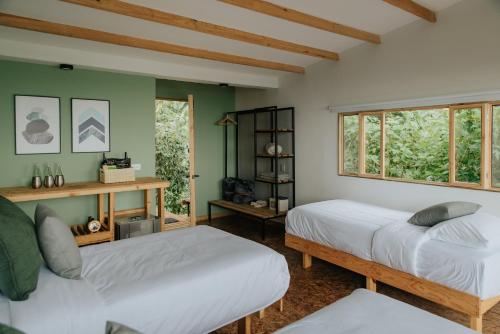 Duas camas num quarto com paredes verdes e janelas em Hotel La Palma y El Tucán em Zipacón