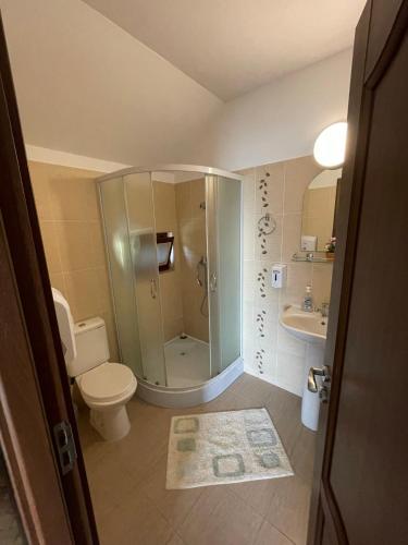 a bathroom with a shower and a toilet and a sink at Pensiunea Nituca in Moisei