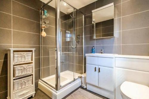 a bathroom with a shower and a toilet and a sink at Lapwing Cottage Docking in Docking