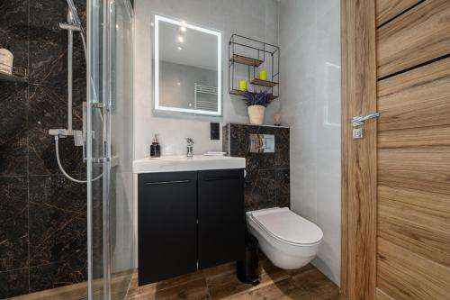 y baño con aseo, lavabo y ducha. en Apartament Sowa Deluxe en Bielsko-Biala