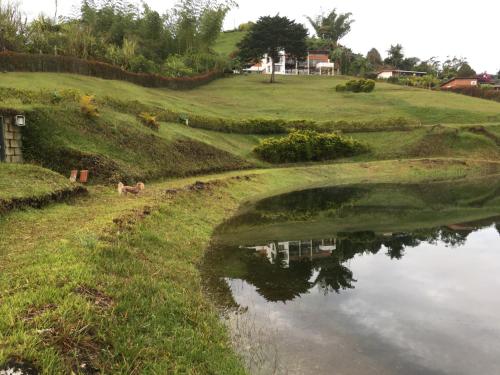 a dog standing next to a body of water at Hotel Familiar El Remanso Del Agua in Guatapé