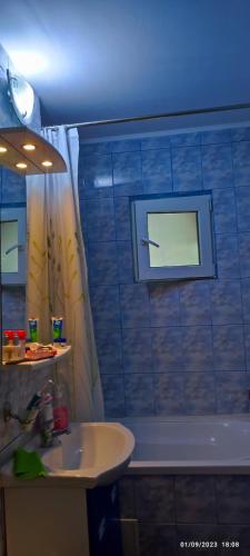 y baño con lavabo, ducha y bañera. en Casy&Angy en Brasov
