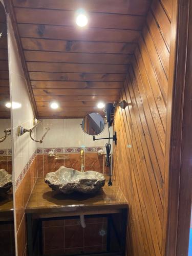 a bathroom with a stone sink in a wooden wall at Hotel Tys in Dilove