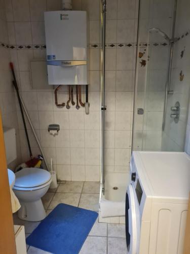 ein Bad mit einer Dusche und einem WC in der Unterkunft Delphin Monteurwohnung in Heede