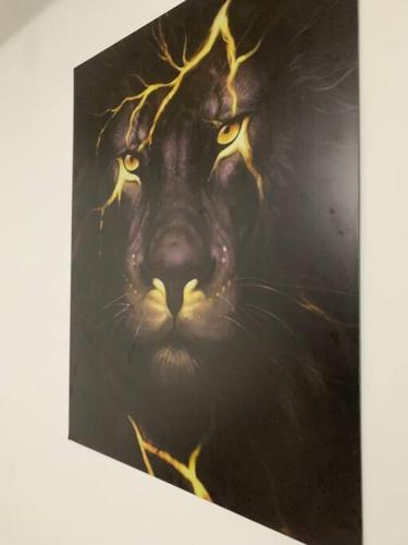 a painting of a black lion with yellow eyes at Loft Mobiliado com Cama de Casal e Solteiro in Passo Fundo