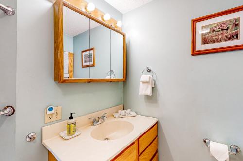 een badkamer met een wastafel en een spiegel bij Pine Knoll on Lake George 