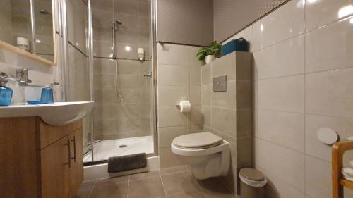 een badkamer met een douche, een toilet en een wastafel bij Apartament Poznańska 1 in Poznań