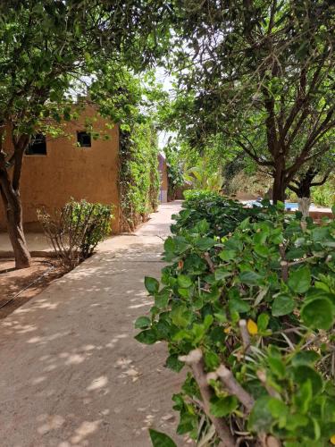 a dirt road with trees and a building in the background at Le Domaine de Carole Marrakech in Akkara