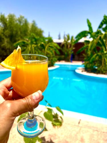 a person holding a drink in front of a pool at Le Domaine de Carole Marrakech in Akkara