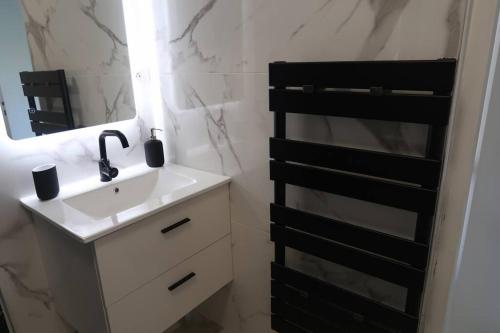 La salle de bains est pourvue d'un lavabo blanc et d'un miroir. dans l'établissement Studio Gare, Europole, à Grenoble