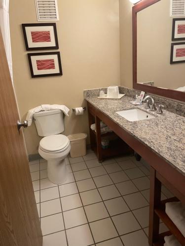 a bathroom with a toilet and a sink and a mirror at Comfort Inn Ellensburg in Ellensburg