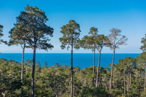 een groep bomen met de oceaan op de achtergrond bij 3707 Pacific's Edge Sanctuary home in Carmel