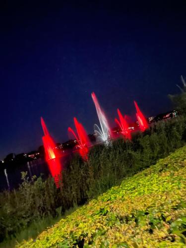 a group of red lights in a field at night at Sølyst in Silkeborg