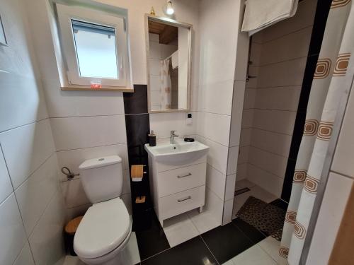 a bathroom with a toilet and a sink and a window at Domki Nad Liliowym Stawem in Berezka
