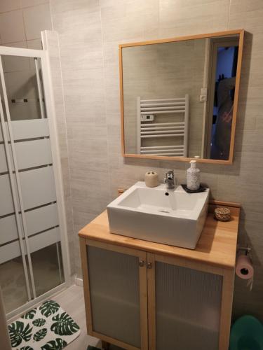 een badkamer met een wastafel en een spiegel bij La casa di Giulietta in Saint-Just-Malmont