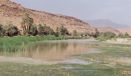 um corpo de água no meio de um deserto em HÔTE SAHARA em Goulmima