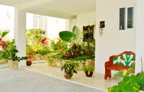 Vrt ispred objekta Corales Suites