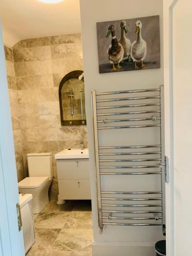 a bathroom with a toilet and three ducks on the wall at Station House in Ballina