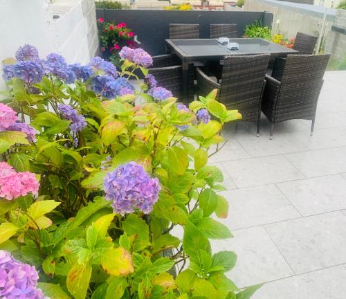 a garden with purple flowers and a table and chairs at Station House in Ballina