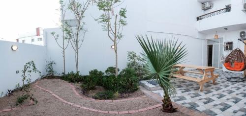 a patio with a wooden bench and plants at Tranquilo Boutique Hostel - Dahab in Dahab
