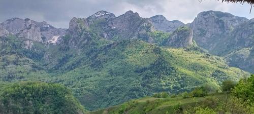 a view of a mountain range with green vegetation at Odmor in Šavnik