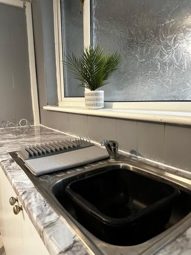 - un évier dans une cuisine avec une plante dans l'établissement Le Crescent Lodge, Room Stay , Middlesbrough City, à Middlesbrough