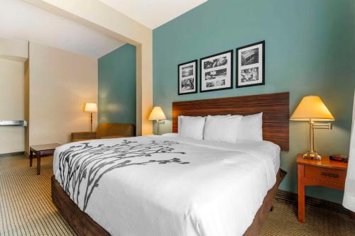 a hotel room with a large bed and two lamps at Sleep Inn & Suites in Rapid City