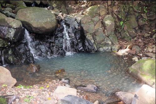 a pool of water next to a waterfall at Villa La Fortuna en Altos del Maria in Sorá