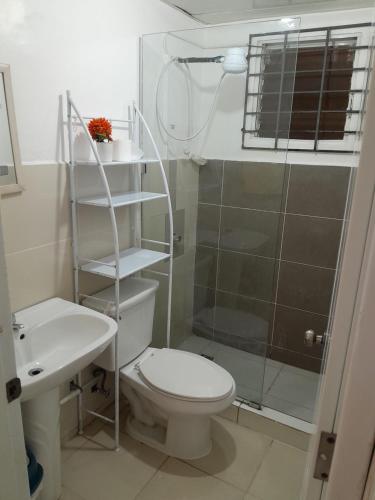 a bathroom with a toilet and a shower and a sink at Comodo apartamento en el centro de la ciudad in Santiago de los Caballeros