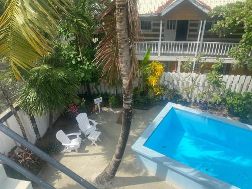 a swimming pool with a palm tree next to a house at Casa Coccoloba in San Pedro