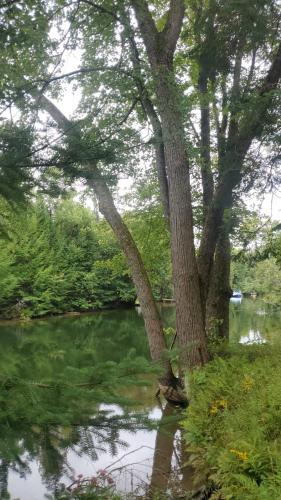 Minden Cottage Getaway – Photos 4