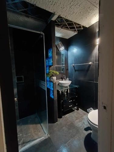 y baño con ducha, aseo y lavamanos. en habitaciones disponibles en una casa en el norte de la ciudad, a 5 minutos del portal norte, en Bogotá