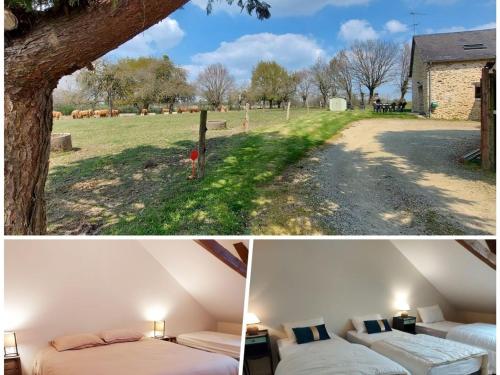 Gîte Cossé-le-Vivien, 3 pièces, 5 personnes - FR-1-600-197