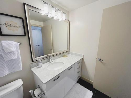 uma casa de banho branca com um lavatório e um espelho em Charming Studio in Downtown Silver Spring MD em Silver Spring
